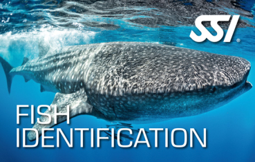 SSI Fish Identification  Spezialkurs